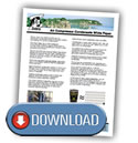 F16AC White Paper