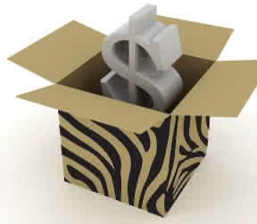 invest in Zebra